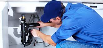 Best Sump Pump Installation and Repair  in Albion, NE